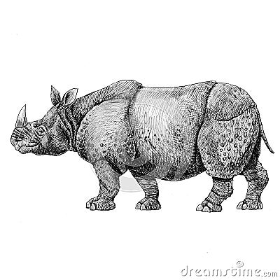 Beautiful stock pencil illustration with safari rhinoceros animal. Cartoon Illustration