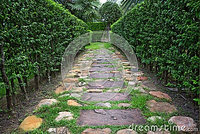 stone walkway in the park. Stock Photo