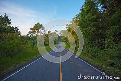 Beautiful Straight empty road through forest, background Stock Photo