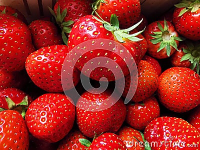 Beautiful strawberries amazing delicious fruit Stock Photo