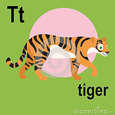 Beautiful striped dangerous tiger, wonderful bright forest cat, ABC children`s banner. Postcards, a poster with the alphabet. Vector Illustration