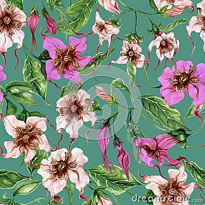 Beautiful strophanthus flowers on climbing twigs on jade background. Seamless floral pattern. Watercolor painting. Hand painted Cartoon Illustration