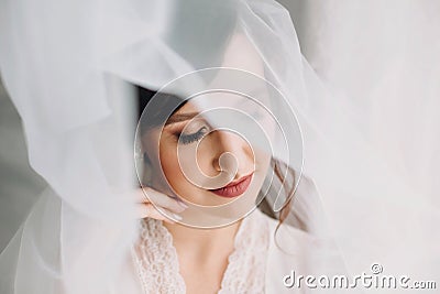 Beautiful stylish brunette bride posing in silk robe under veil in the morning. Sensual portrait of happy woman model with perfect Stock Photo