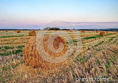 Beautiful summer farm image with haystacks. Field evening landscape with rolls. Agriculture concept. Stock Photo