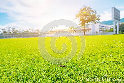 Beautiful summer green grass lawn for sports soccer or rugby field with stadium seats and scoreboard background Stock Photo