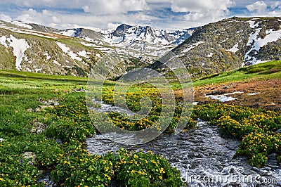 Beautiful summer landscape, Altai mountains Russia. Stock Photo