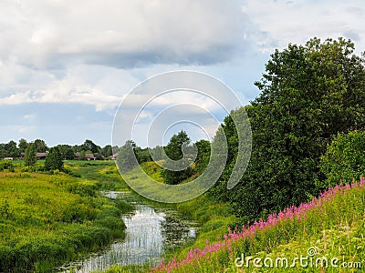 Beautiful summer landscape. Fields, flowers, village, blue sky Stock Photo