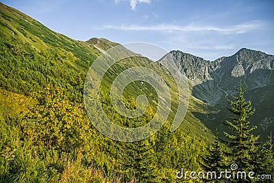 A beautiful summer landscape in mountains. Natural scenery in mountains, national park. Stock Photo