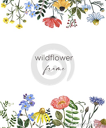 Beautiful summer meadow flowers border, botanical frame with wildflowers on white background. hand painted illustration Cartoon Illustration