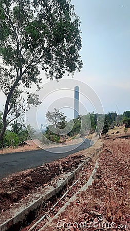 Beautiful summer noon Stock Photo