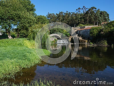 Beautiful summer scene over river with old Roman stone bridge and willow tree. Stock Photo