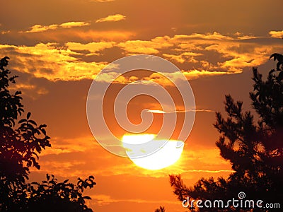 Romantic Beautiful summer sunset with amazing golden colours. Tree silhouettes. Cloudy sunset. Sunset in the forest. Pure photo. Stock Photo