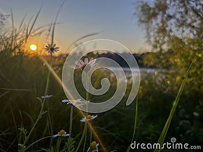 a beautiful summer sunset over the Berezina river Stock Photo