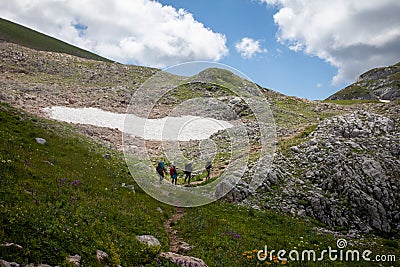 Beautiful summer views of blooming alpine meadows of Caucasus mountains Editorial Stock Photo