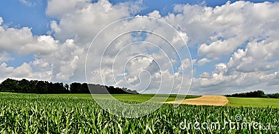 Beautiful Summers Day Stock Photo