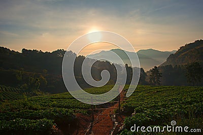 beautiful sun rise in doi ang khang chiang mai northren of thailand Stock Photo