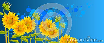 Beautiful sunflowers Vector Illustration