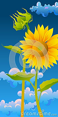 Beautiful sunflowers Vector Illustration