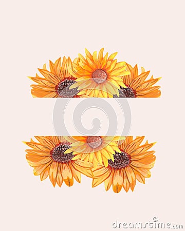 Beautiful sunflowers in an elegant frame Stock Photo