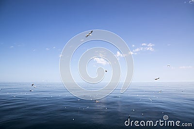 Beautiful sunny day with blue sky over the sea. Stock Photo