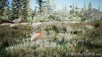 Beautiful sunny nature with animals in early spring. 3D Rendering Stock Photo