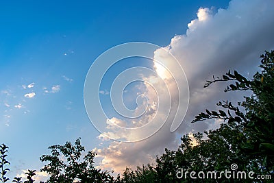 Beautiful sunrise and dramatic clouds on the sky. Green trees backed by a bright blue sky and clouds background Stock Photo