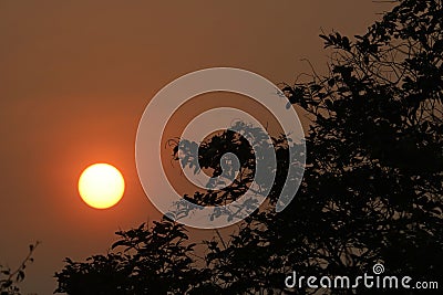 A Beautiful sunrise in the forest Stock Photo