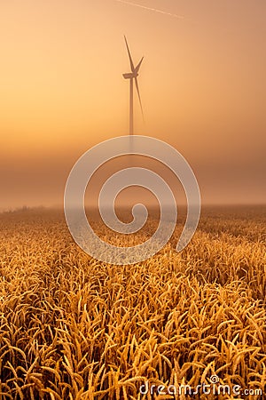 Beautiful sunrise with mist and eolian mill in the background in summer time on Wheat Field Stock Photo