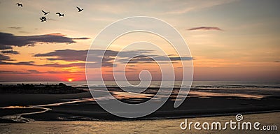 Sunrise at Ogunquit Maine with Birds and Beach Stock Photo