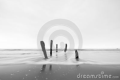 Beautiful sunrise of old jetty piles at St. Clair Beach in Dunedin, New Zealand Stock Photo