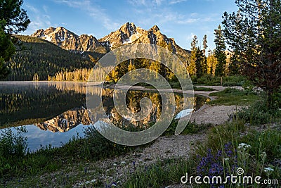 Beautiful sunrise at Stanley Lake in the Sawtooth Mountains of Idaho. Reflection in water with wildflowers Stock Photo