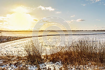 Beautiful sunset on a background of a snowy field with orange dry grass and bushes Stock Photo