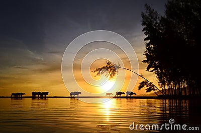 Beautiful Sunset Stock Photo