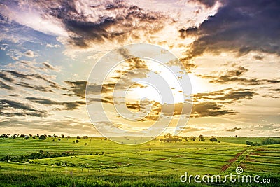 Beautiful sunset in countryside, beautiful view of the flat landscape Stock Photo