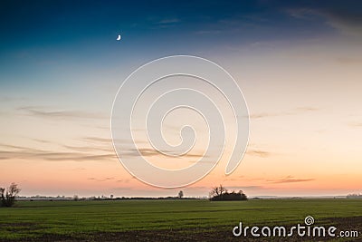 Beautiful sunset in field with small green plants and moon Stock Photo