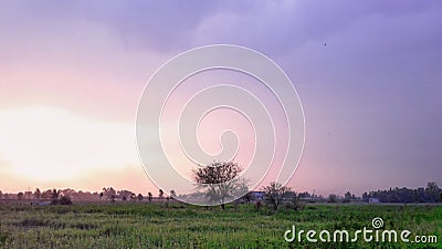 Beautiful Sunset with Green Lawn and Purple Sky Editorial Stock Photo