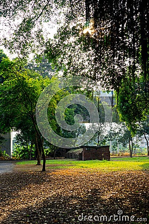 Beautiful sunset light in public park with falling leaf Stock Photo