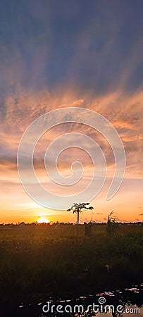 Beautiful sunset at Merauke Regency Stock Photo