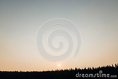 Sunset over the mountain pine forest Stock Photo