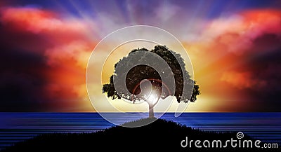 Beautiful Sunset over water tree silhouette nature landscape Vector Illustration