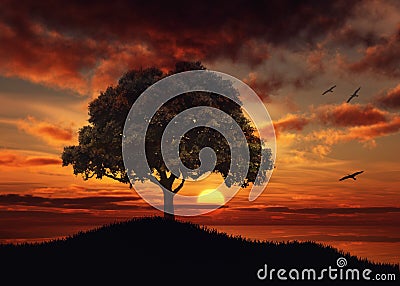 Beautiful Sunset over water tree silhouette nature landscape Stock Photo