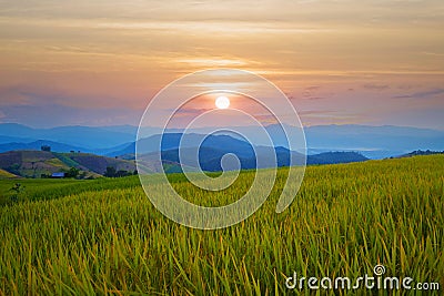 Sunset at Baan Pa Pong Piang. Stock Photo
