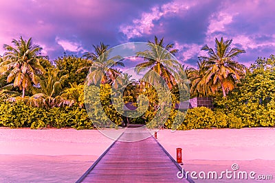 Sunset beach in Maldives island. Amazing palm trees and jetty into paradise beach Stock Photo