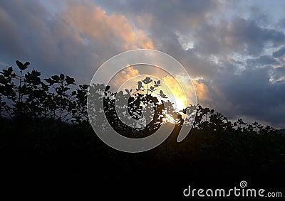 Beautiful Sunset with Trees in the mountains Stock Photo