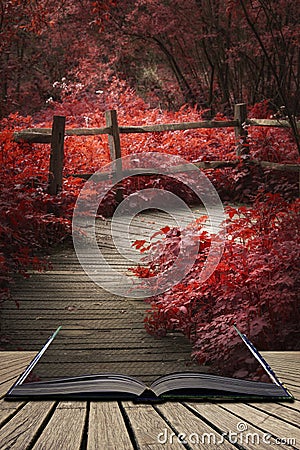 Beautiful surreal red landscape image of wooden boardwalk throughforest in Spring concept coming out of pages in open book Stock Photo