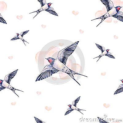 Beautiful swallow on a white background. Watercolor illustration. Spring bird brings love. Handwork. Seamless pattern Cartoon Illustration