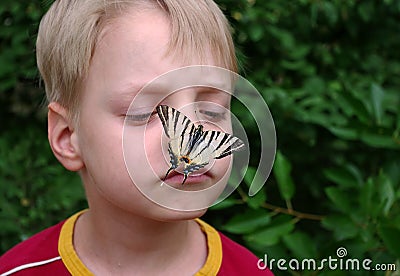 Baby and butterfly. beautiful swallowtail butterfly on the nose of a little boy. Stock Photo