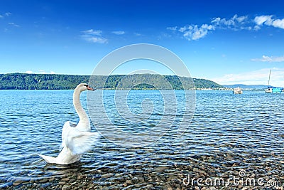 Lake Constance Bodensee Stock Photo