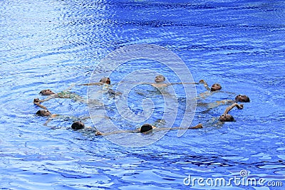 Beautiful swimmers do training session Editorial Stock Photo