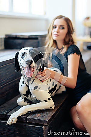 Beautiful tall girl in black dress with dog Dalmatian in studio Stock Photo